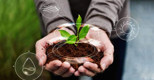 smart-agriculture-iot-with-hand-planting-tree-background (1)